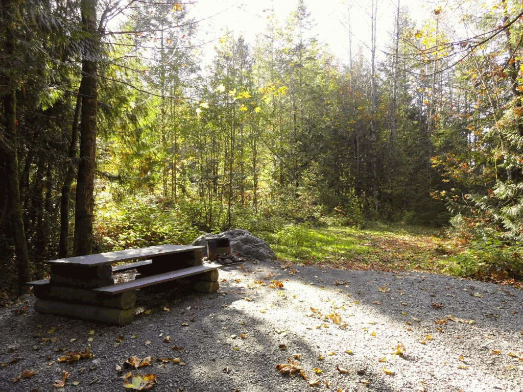 Photo: Recreation Sites and Trails BC. © Province of British Columbia, licensed under the Open Government Licence – British Columbia. Tamihi Creek, photo 6