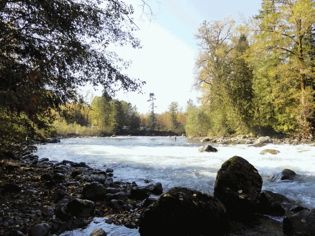 Photo: Recreation Sites and Trails BC. © Province of British Columbia, licensed under the Open Government Licence – British Columbia. Tamihi Creek, photo 7