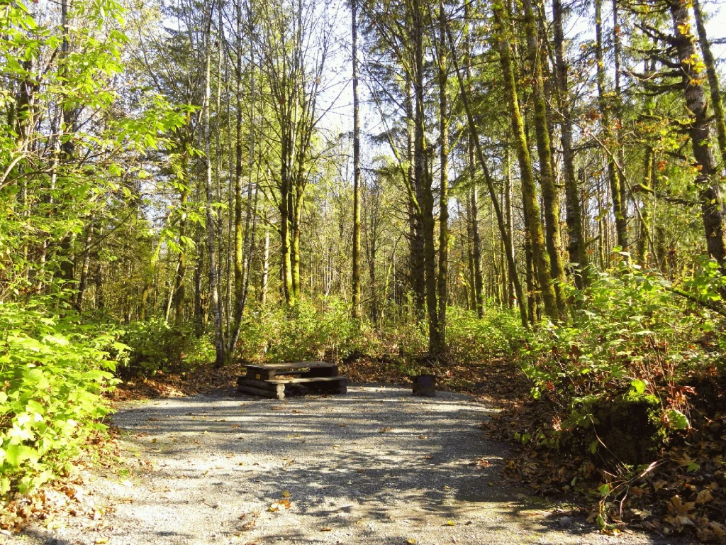 Photo: Recreation Sites and Trails BC. © Province of British Columbia, licensed under the Open Government Licence – British Columbia. Tamihi Creek, photo 5