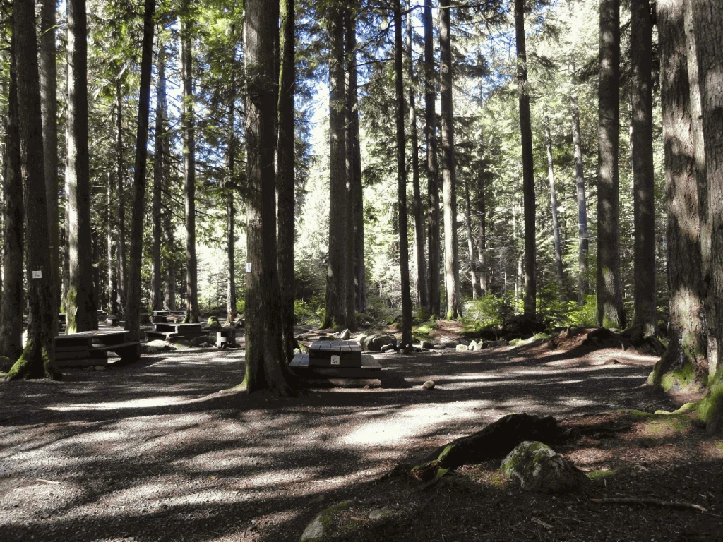 Photo: Recreation Sites and Trails BC. © Province of British Columbia, licensed under the Open Government Licence – British Columbia. Riverside