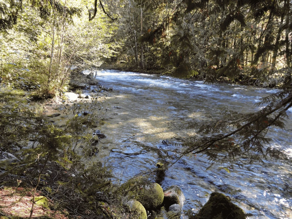 Photo: Recreation Sites and Trails BC. © Province of British Columbia, licensed under the Open Government Licence – British Columbia. Riverside, photo 2