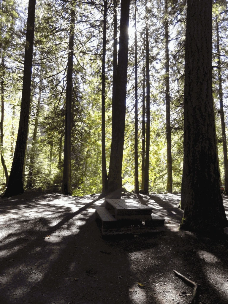 Photo: Recreation Sites and Trails BC. © Province of British Columbia, licensed under the Open Government Licence – British Columbia. Riverside, photo 3