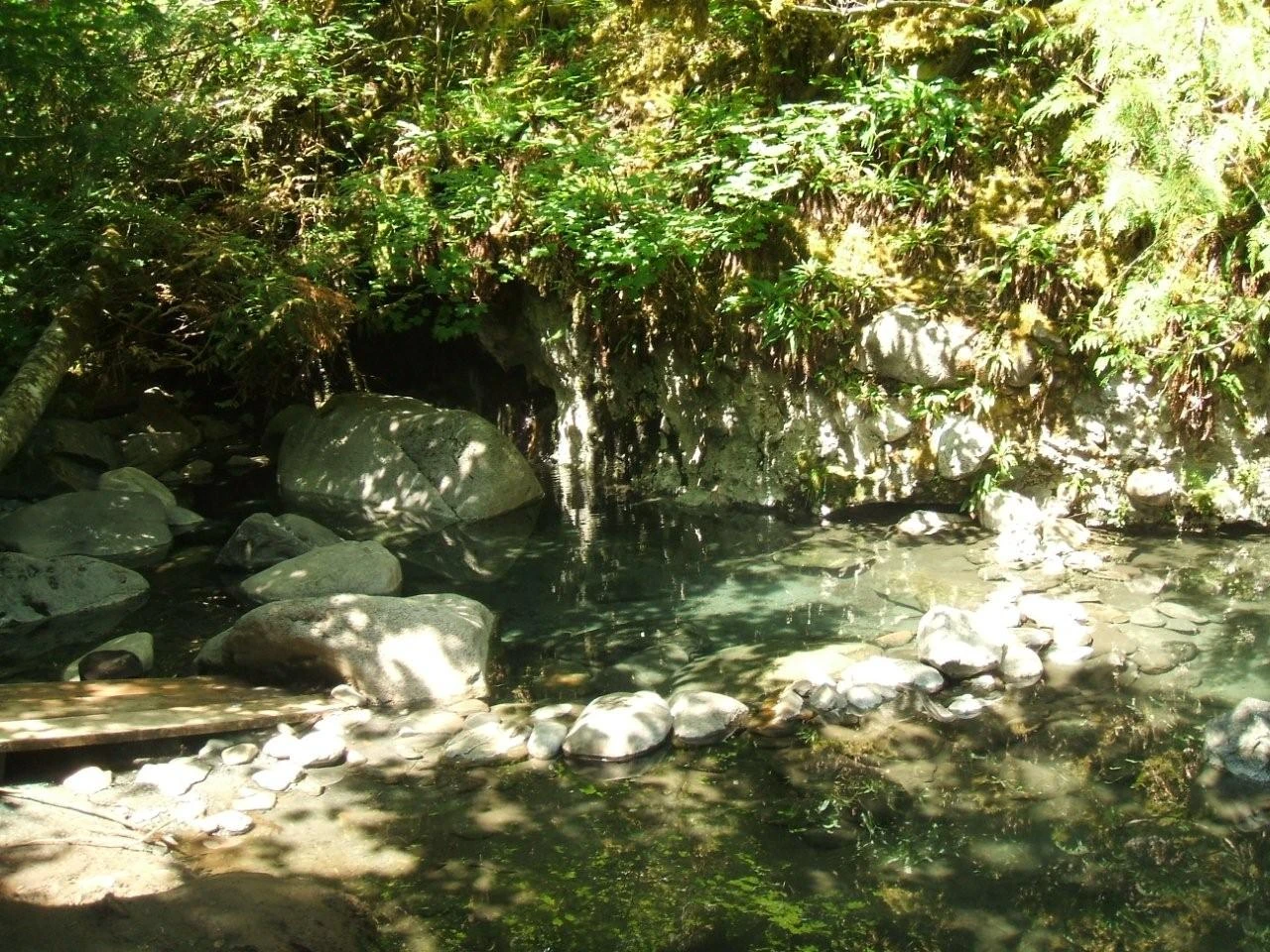 Photo: Recreation Sites and Trails BC. © Province of British Columbia, licensed under the Open Government Licence – British Columbia. Sloquet Hot Springs, photo 2