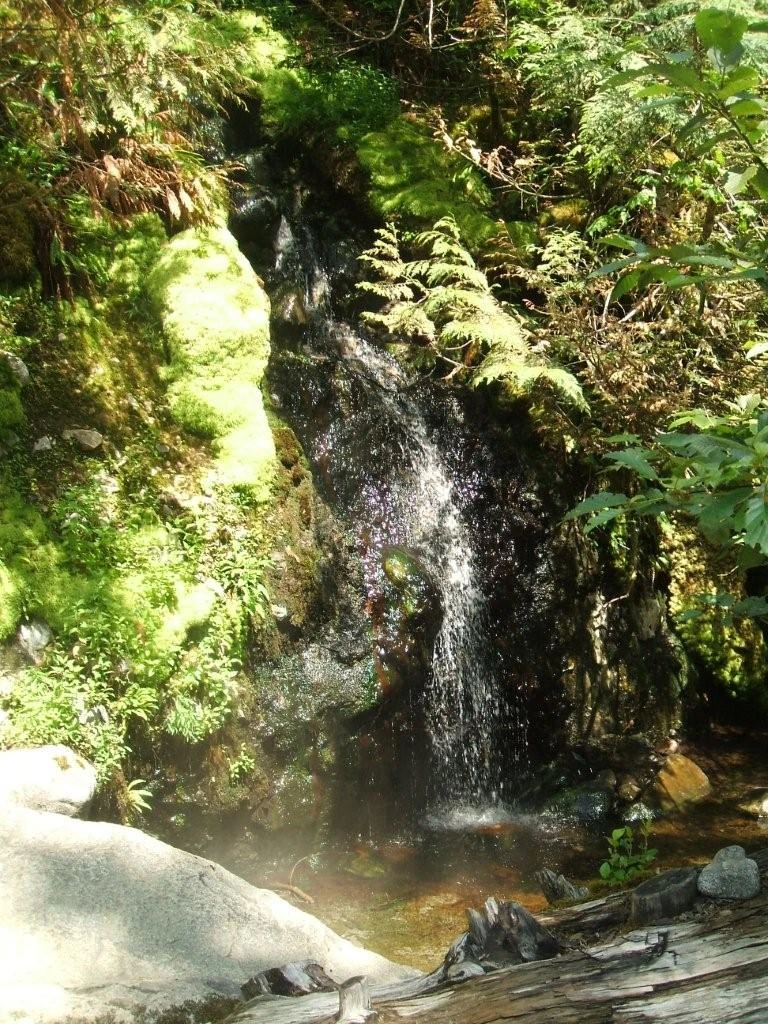 Photo: Recreation Sites and Trails BC. © Province of British Columbia, licensed under the Open Government Licence – British Columbia. Sloquet Hot Springs, photo 5