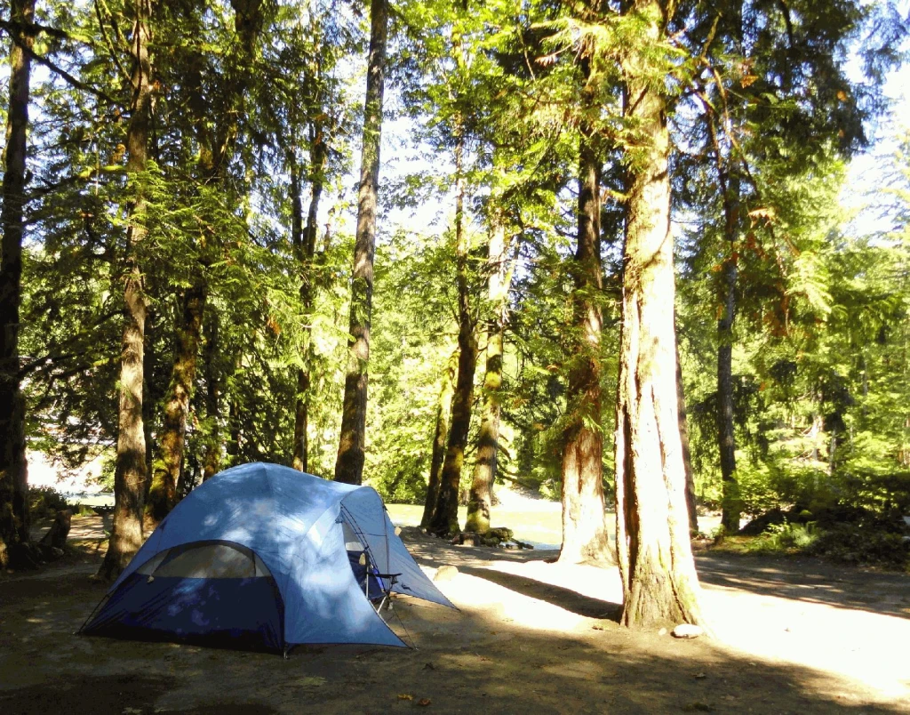 Photo: Recreation Sites and Trails BC. © Province of British Columbia, licensed under the Open Government Licence – British Columbia. Chehalis River, photo 7