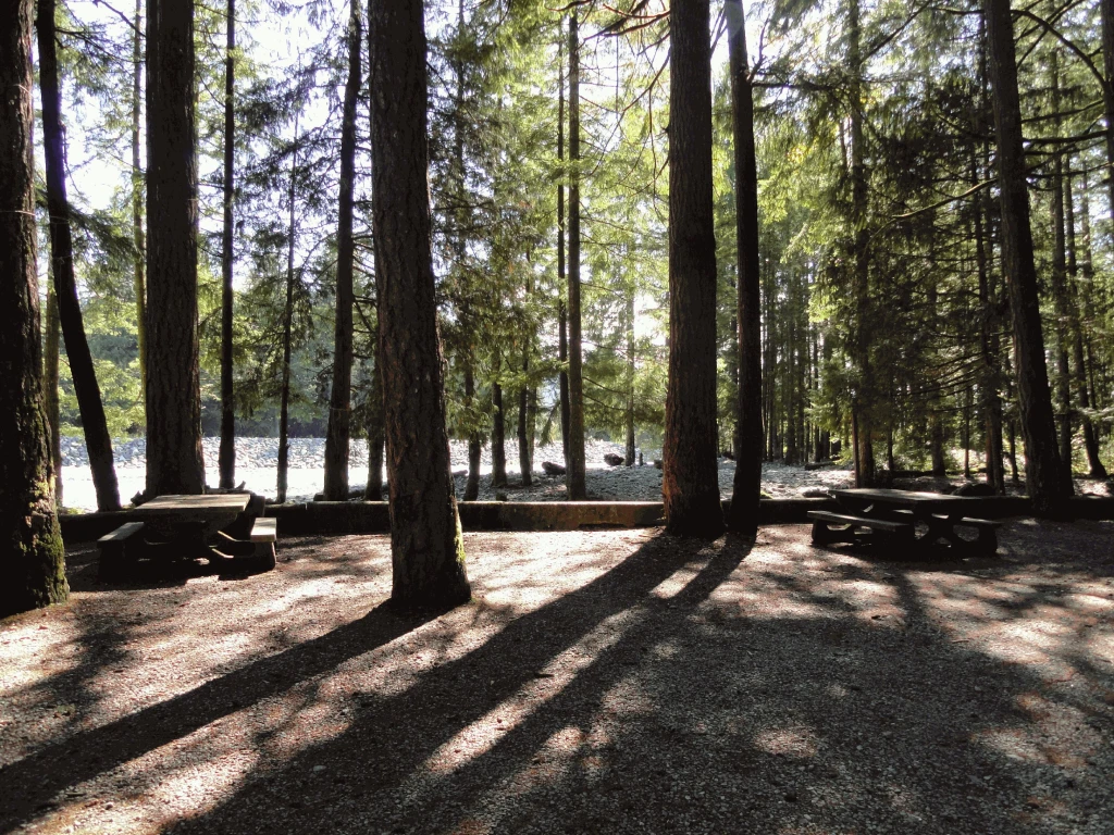 Photo: Recreation Sites and Trails BC. © Province of British Columbia, licensed under the Open Government Licence – British Columbia. Chehalis River, photo 2