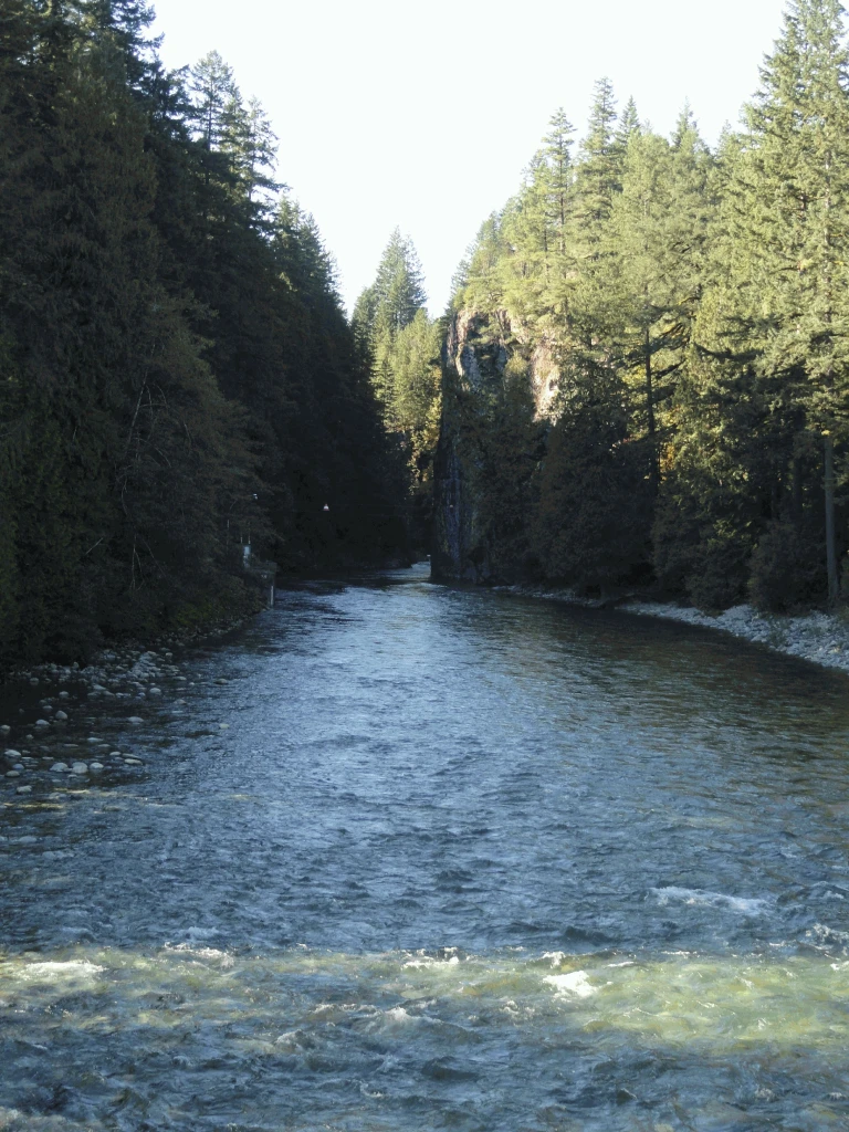 Photo: Recreation Sites and Trails BC. © Province of British Columbia, licensed under the Open Government Licence – British Columbia. Chehalis River