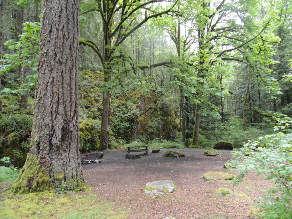 Photo: Recreation Sites and Trails BC. © Province of British Columbia, licensed under the Open Government Licence – British Columbia. Chehalis River, photo 5