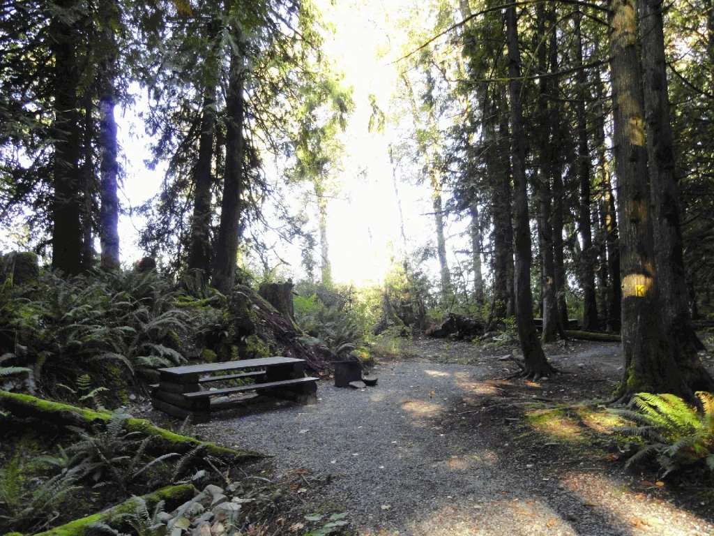 Photo: Recreation Sites and Trails BC. © Province of British Columbia, licensed under the Open Government Licence – British Columbia. Bear Creek, photo 5