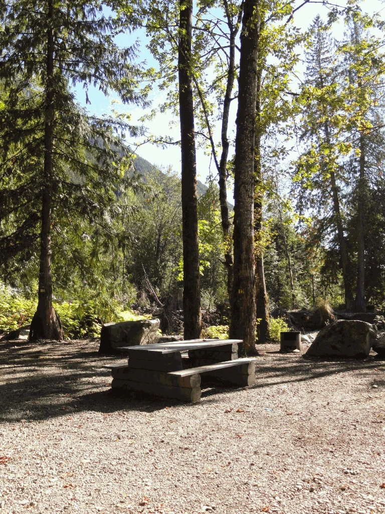Photo: Recreation Sites and Trails BC. © Province of British Columbia, licensed under the Open Government Licence – British Columbia. Bear Creek, photo 4