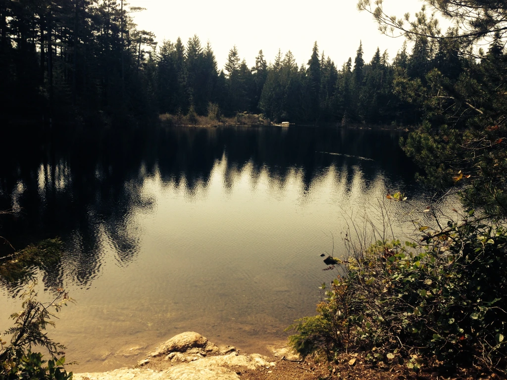 Photo: Recreation Sites and Trails BC. © Province of British Columbia, licensed under the Open Government Licence – British Columbia. Wood Lake, photo 2