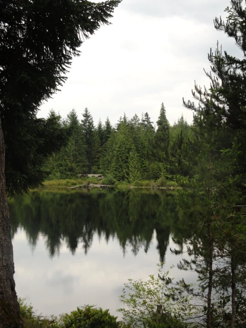Photo: Recreation Sites and Trails BC. © Province of British Columbia, licensed under the Open Government Licence – British Columbia. Wood Lake, photo 6