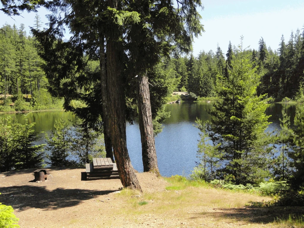 Photo: Recreation Sites and Trails BC. © Province of British Columbia, licensed under the Open Government Licence – British Columbia. Wood Lake, photo 4
