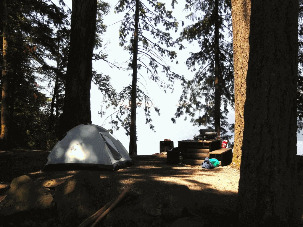 Photo: Recreation Sites and Trails BC. © Province of British Columbia, licensed under the Open Government Licence – British Columbia. Twenty Mile Bay, photo 8