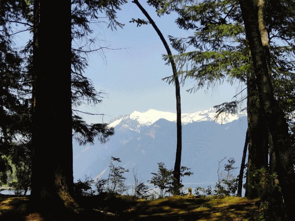 Photo: Recreation Sites and Trails BC. © Province of British Columbia, licensed under the Open Government Licence – British Columbia. Twenty Mile Bay, photo 5