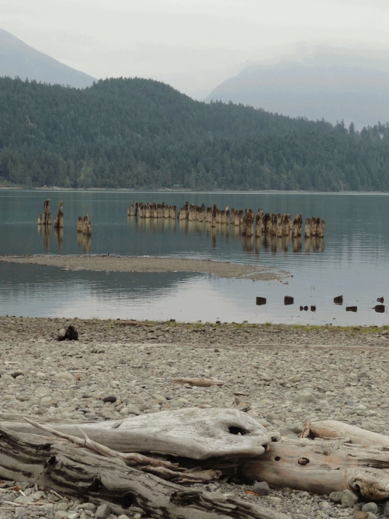 Photo: Recreation Sites and Trails BC. © Province of British Columbia, licensed under the Open Government Licence – British Columbia. Twenty Mile Bay, photo 3