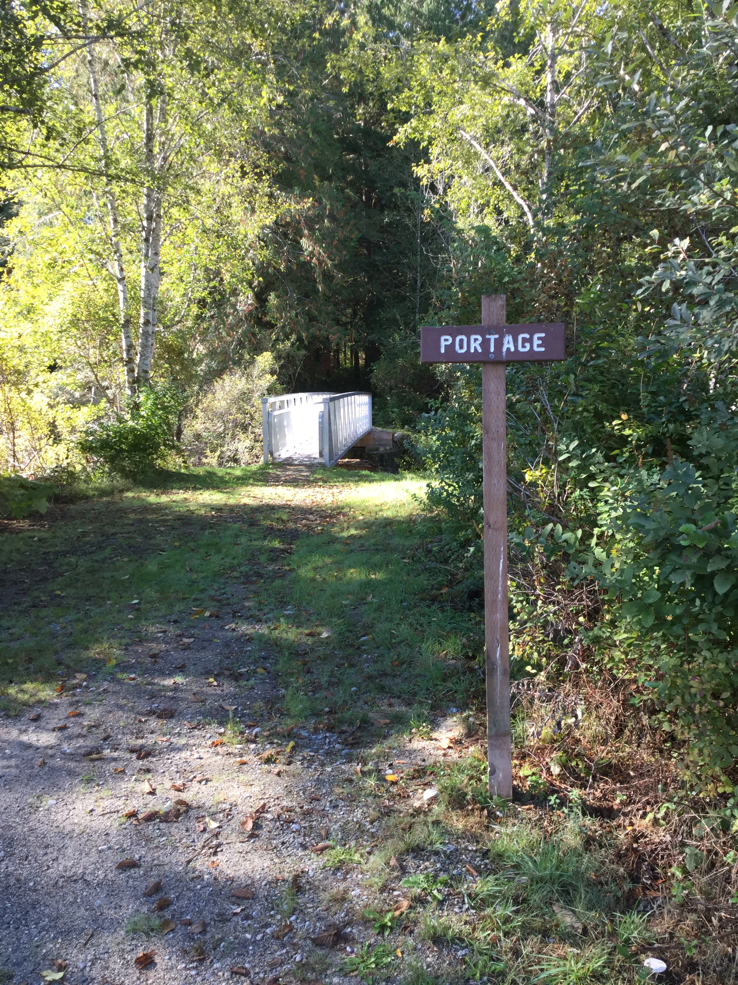 Photo: Recreation Sites and Trails BC. © Province of British Columbia, licensed under the Open Government Licence – British Columbia. Dodd Lake, photo 3
