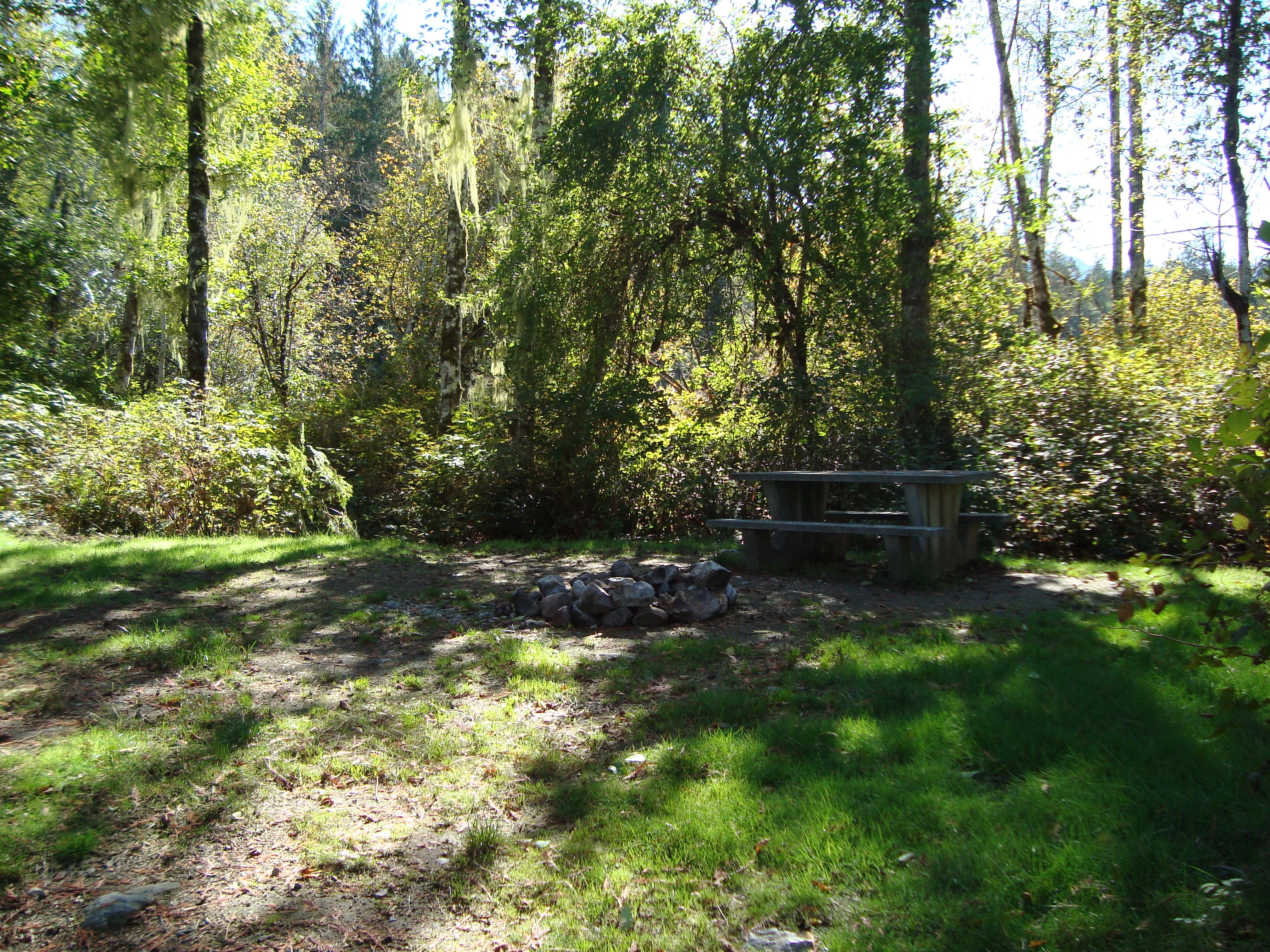 Photo: Recreation Sites and Trails BC. © Province of British Columbia, licensed under the Open Government Licence – British Columbia. Dodd Lake, photo 5