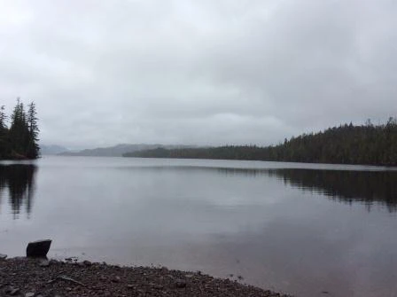 Photo: Recreation Sites and Trails BC. © Province of British Columbia, licensed under the Open Government Licence – British Columbia. Georgie Lake, photo 2