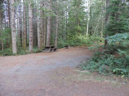 Photo: Recreation Sites and Trails BC. © Province of British Columbia, licensed under the Open Government Licence – British Columbia. Gray Lake, photo 2