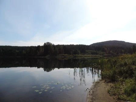 Photo: Recreation Sites and Trails BC. © Province of British Columbia, licensed under the Open Government Licence – British Columbia. Camp 5, photo 3