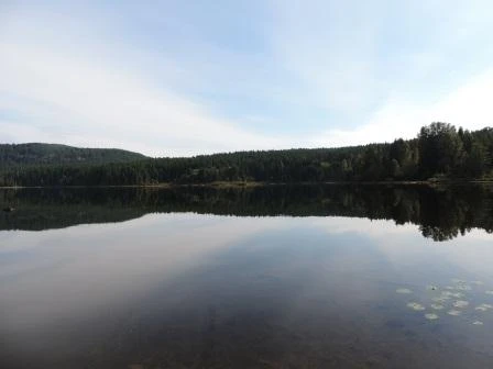 Photo: Recreation Sites and Trails BC. © Province of British Columbia, licensed under the Open Government Licence – British Columbia. Camp 5, photo 2