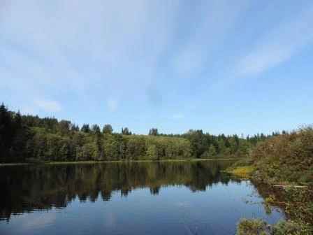 Photo: Recreation Sites and Trails BC. © Province of British Columbia, licensed under the Open Government Licence – British Columbia. Apple Point, photo 2