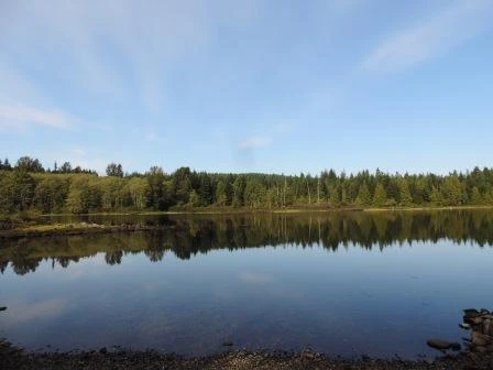 Photo: Recreation Sites and Trails BC. © Province of British Columbia, licensed under the Open Government Licence – British Columbia. Apple Point, photo 4