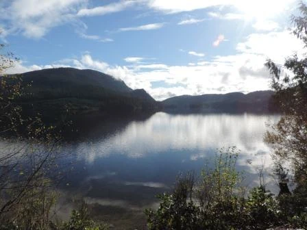 Photo: Recreation Sites and Trails BC. © Province of British Columbia, licensed under the Open Government Licence – British Columbia. Pye Lake, photo 2