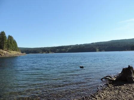 Photo: Recreation Sites and Trails BC. © Province of British Columbia, licensed under the Open Government Licence – British Columbia. Dogwood Bay, photo 2