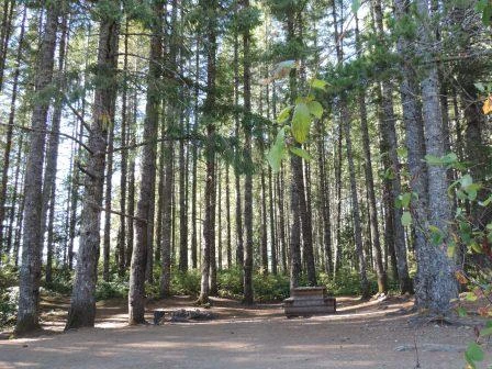 Photo: Recreation Sites and Trails BC. © Province of British Columbia, licensed under the Open Government Licence – British Columbia. Dogwood Bay, photo 3