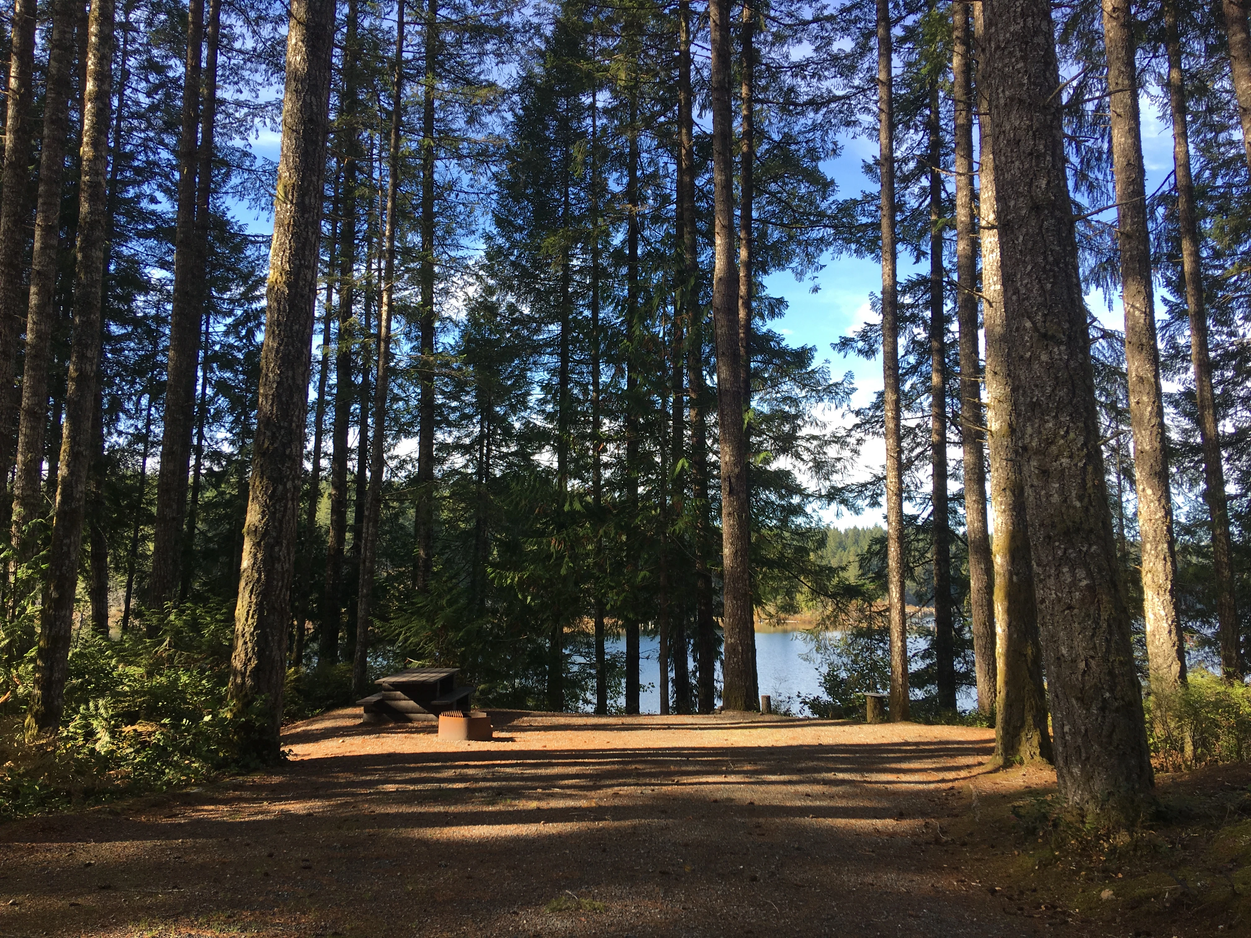Photo: Recreation Sites and Trails BC. © Province of British Columbia, licensed under the Open Government Licence – British Columbia. Miller Creek, photo 2