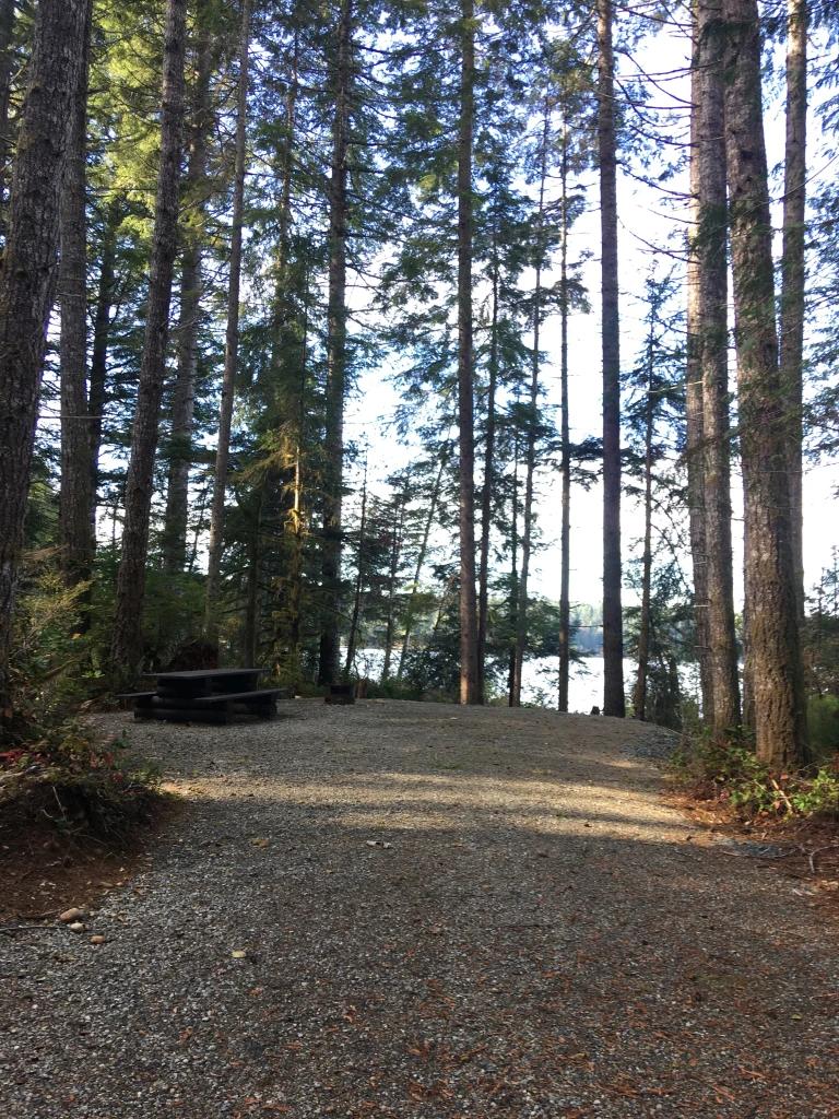 Photo: Recreation Sites and Trails BC. © Province of British Columbia, licensed under the Open Government Licence – British Columbia. Miller Creek, photo 12