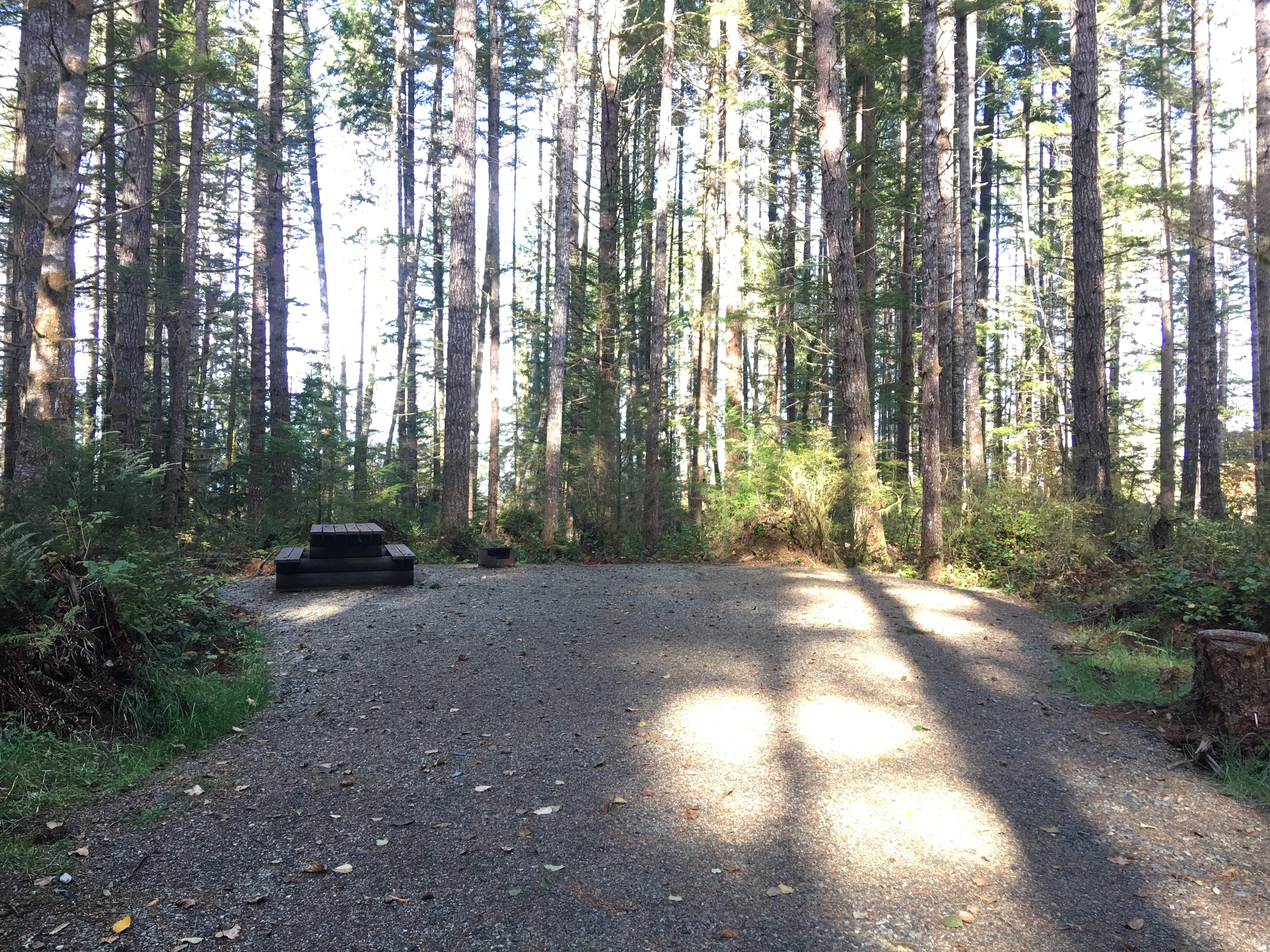 Photo: Recreation Sites and Trails BC. © Province of British Columbia, licensed under the Open Government Licence – British Columbia. Miller Creek, photo 8