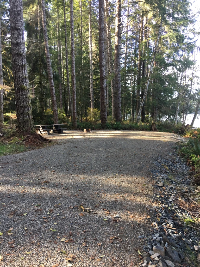 Photo: Recreation Sites and Trails BC. © Province of British Columbia, licensed under the Open Government Licence – British Columbia. Miller Creek, photo 6