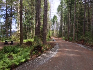 Photo: Recreation Sites and Trails BC. © Province of British Columbia, licensed under the Open Government Licence – British Columbia. Miller Creek, photo 11