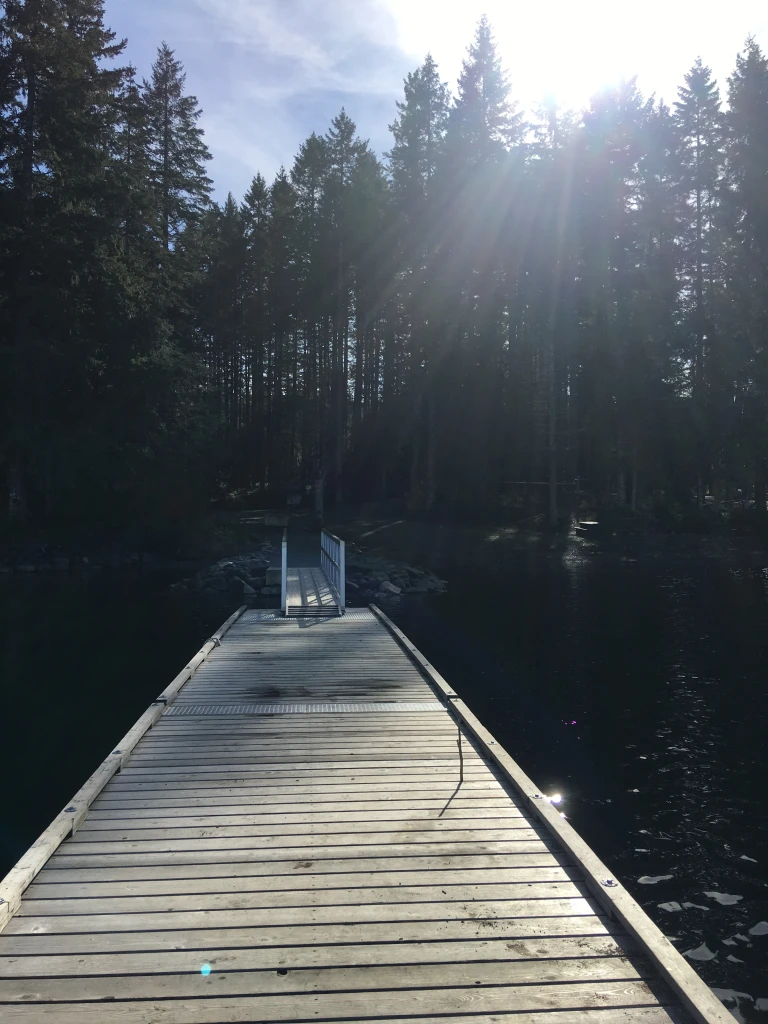 Photo: Recreation Sites and Trails BC. © Province of British Columbia, licensed under the Open Government Licence – British Columbia. Miller Creek, photo 3