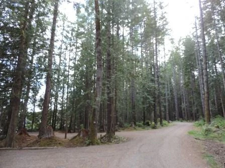 Photo: Recreation Sites and Trails BC. © Province of British Columbia, licensed under the Open Government Licence – British Columbia. Miller Creek, photo 10