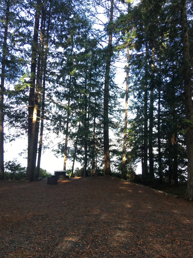 Photo: Recreation Sites and Trails BC. © Province of British Columbia, licensed under the Open Government Licence – British Columbia. Miller Creek, photo 5