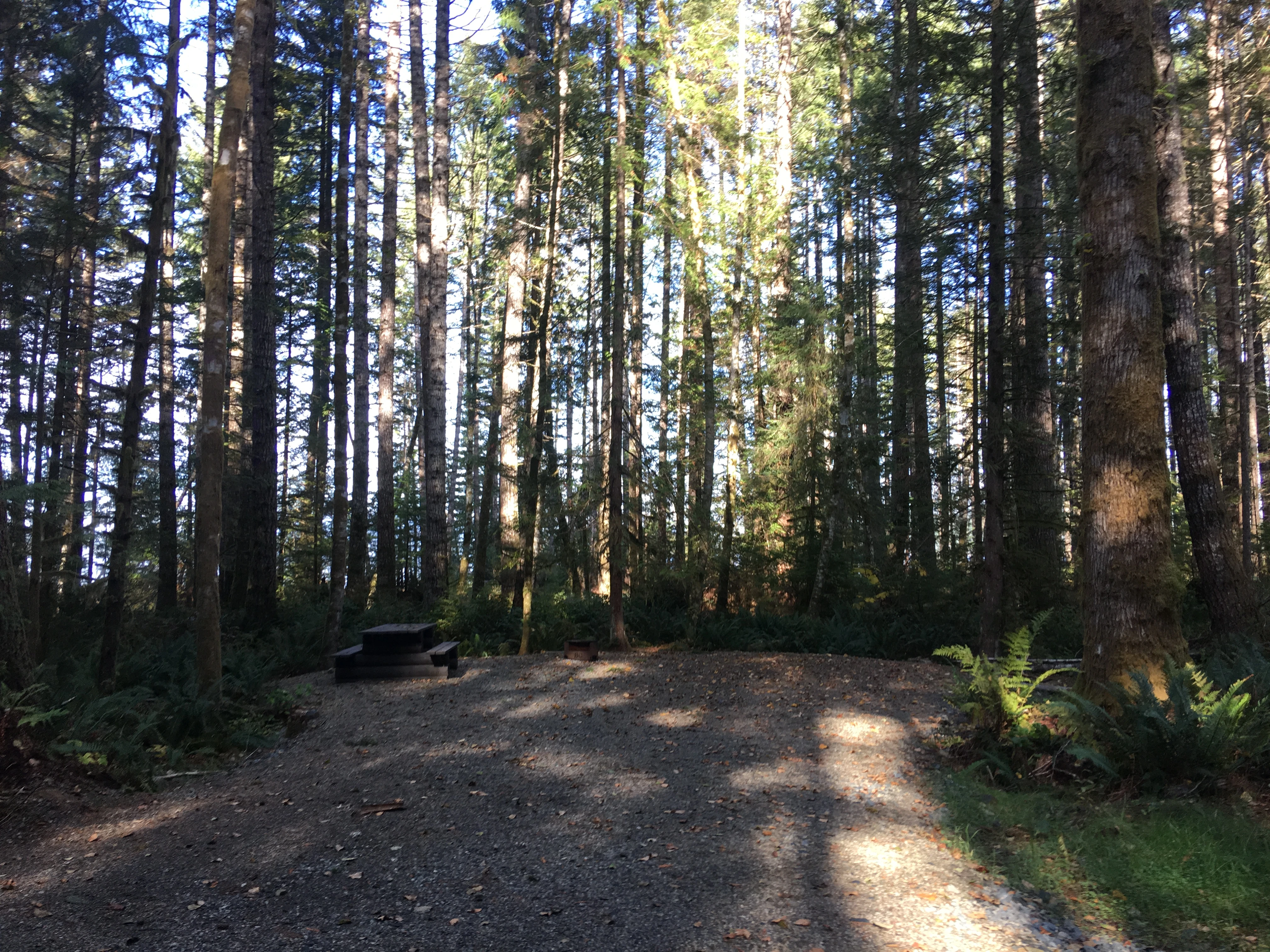 Photo: Recreation Sites and Trails BC. © Province of British Columbia, licensed under the Open Government Licence – British Columbia. Miller Creek, photo 9