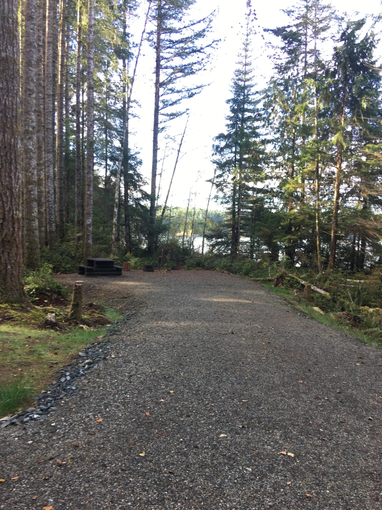 Photo: Recreation Sites and Trails BC. © Province of British Columbia, licensed under the Open Government Licence – British Columbia. Miller Creek, photo 7