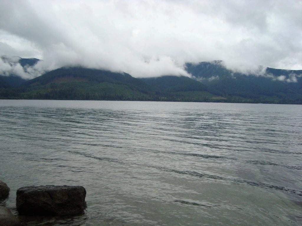 Photo: Recreation Sites and Trails BC. © Province of British Columbia, licensed under the Open Government Licence – British Columbia. Pine Point Site, photo 3