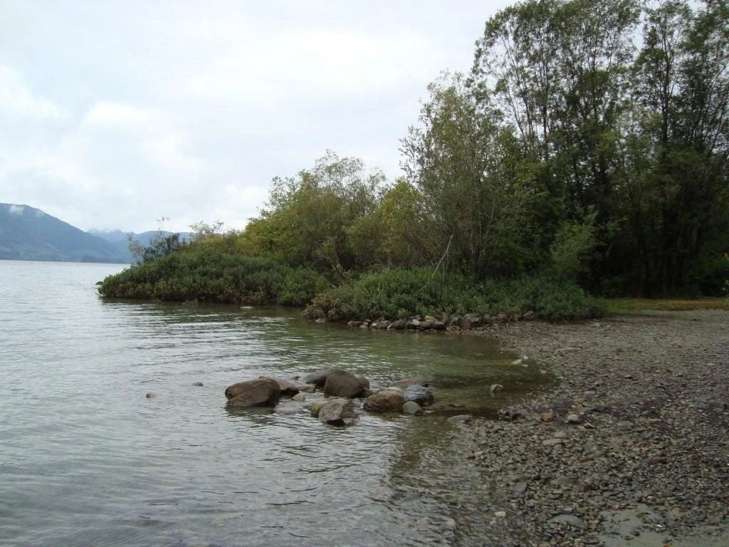 Photo: Recreation Sites and Trails BC. © Province of British Columbia, licensed under the Open Government Licence – British Columbia. Pine Point Site, photo 5