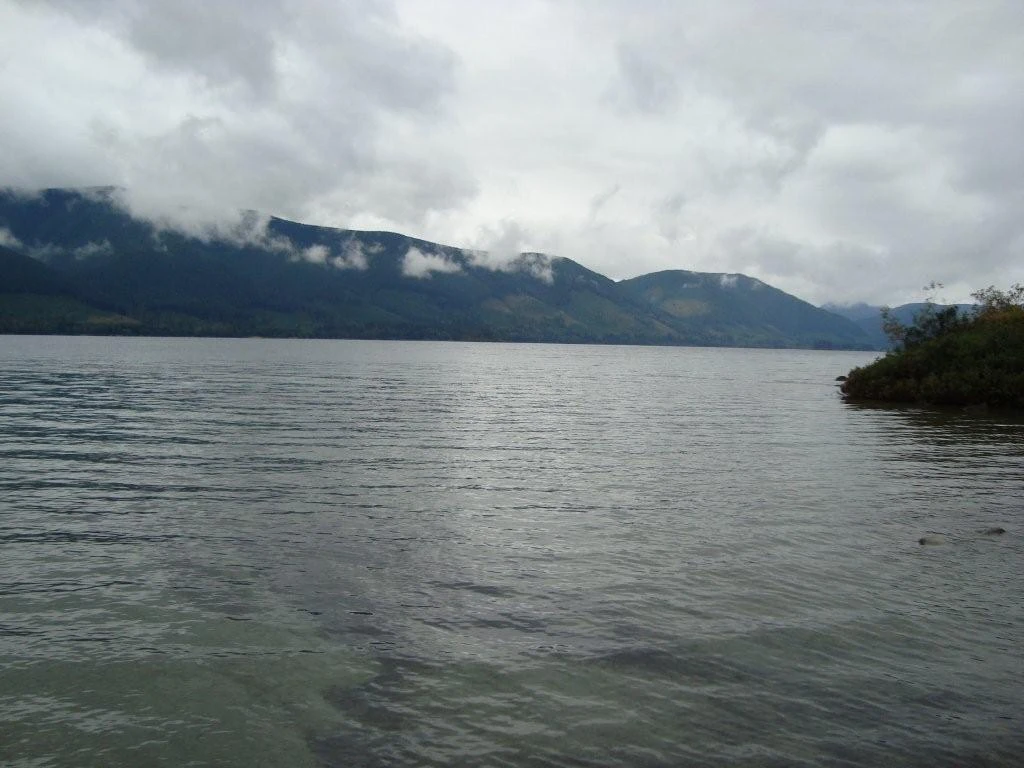 Photo: Recreation Sites and Trails BC. © Province of British Columbia, licensed under the Open Government Licence – British Columbia. Pine Point Site, photo 4