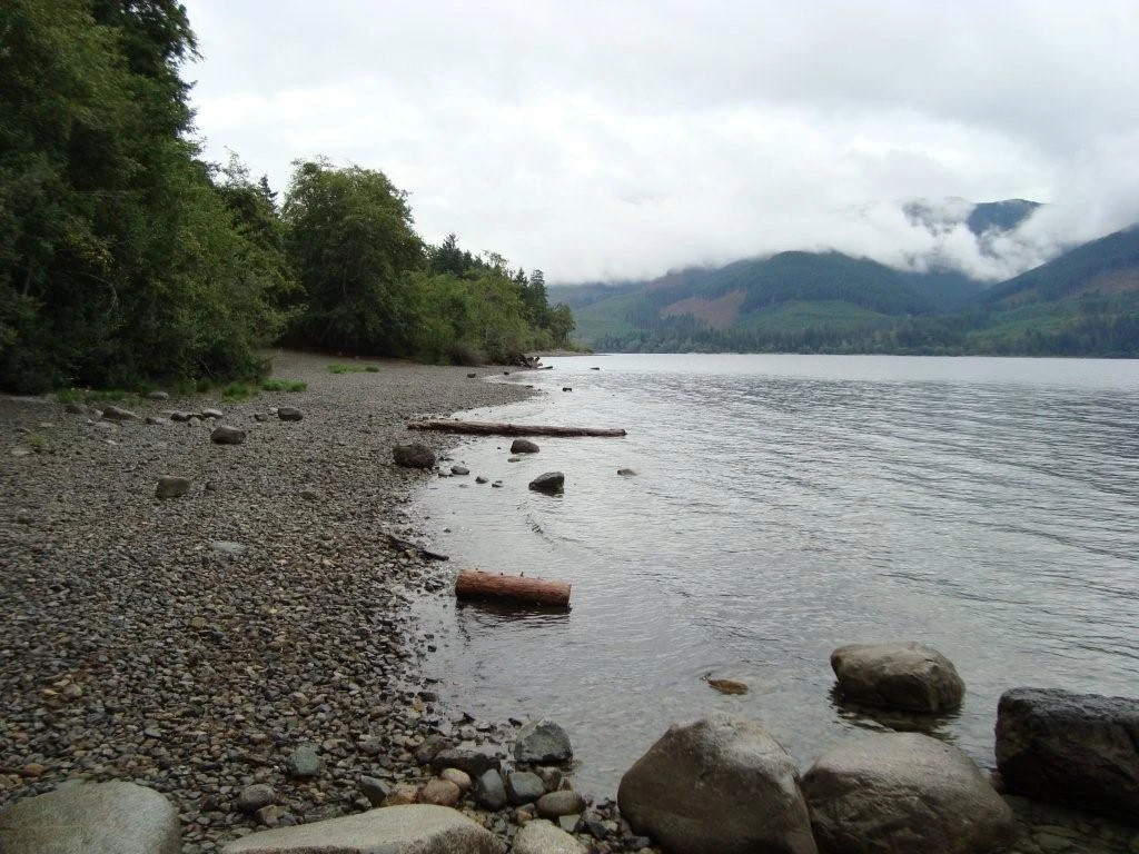 Photo: Recreation Sites and Trails BC. © Province of British Columbia, licensed under the Open Government Licence – British Columbia. Pine Point Site, photo 2