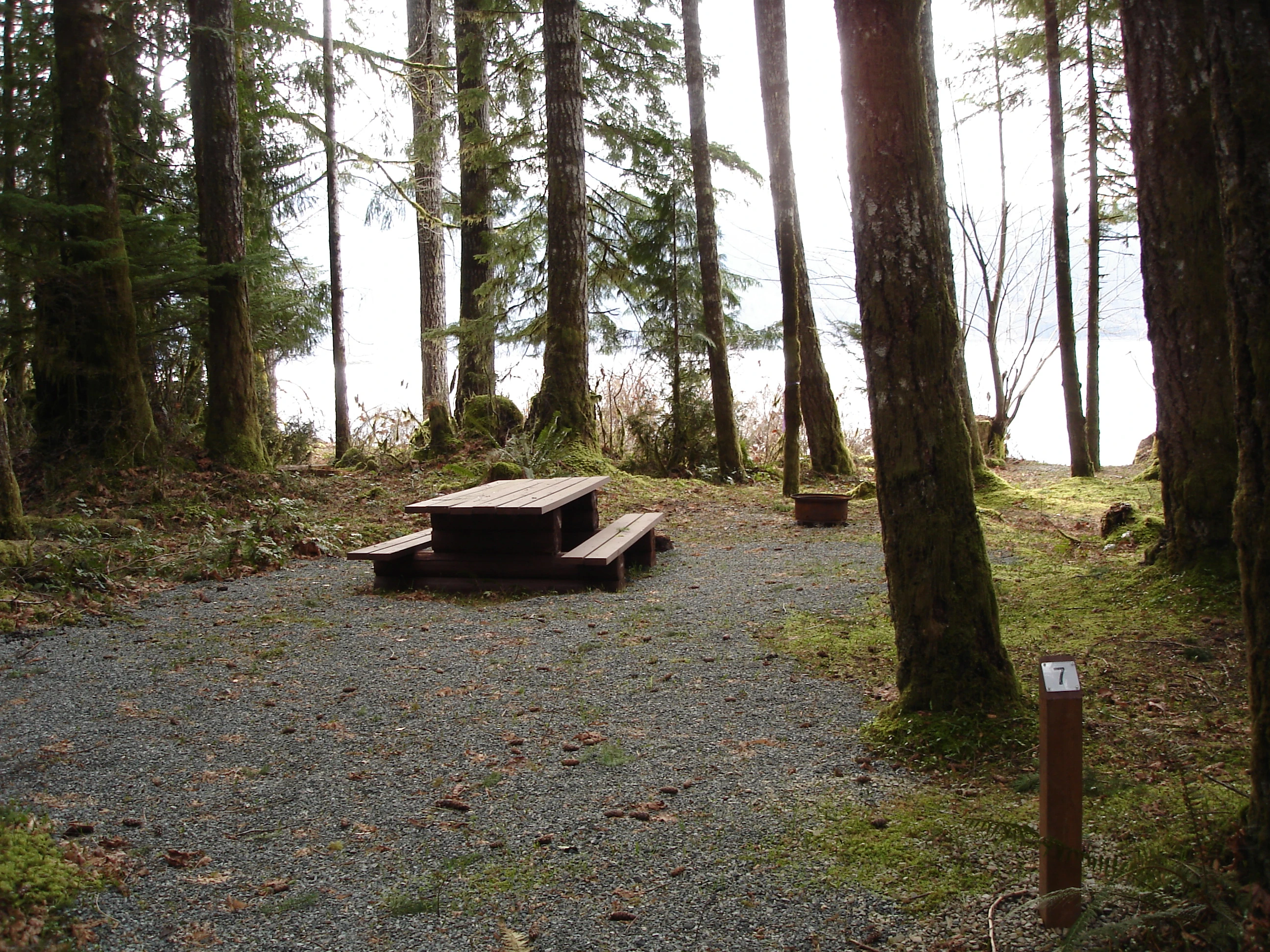 Photo: Recreation Sites and Trails BC. © Province of British Columbia, licensed under the Open Government Licence – British Columbia. Maple Grove, photo 3