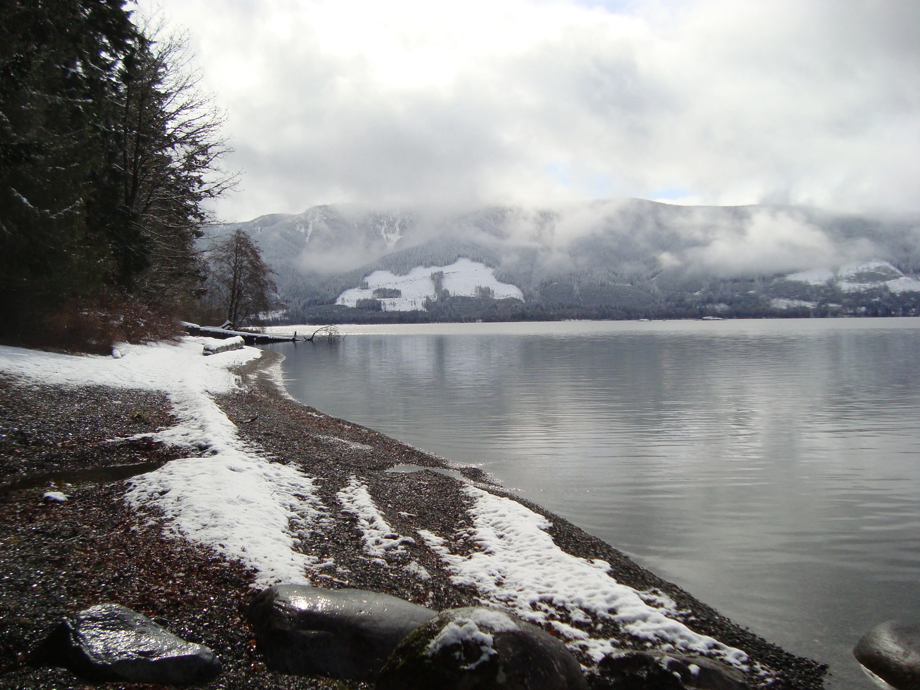 Photo: Recreation Sites and Trails BC. © Province of British Columbia, licensed under the Open Government Licence – British Columbia. Maple Grove, photo 2