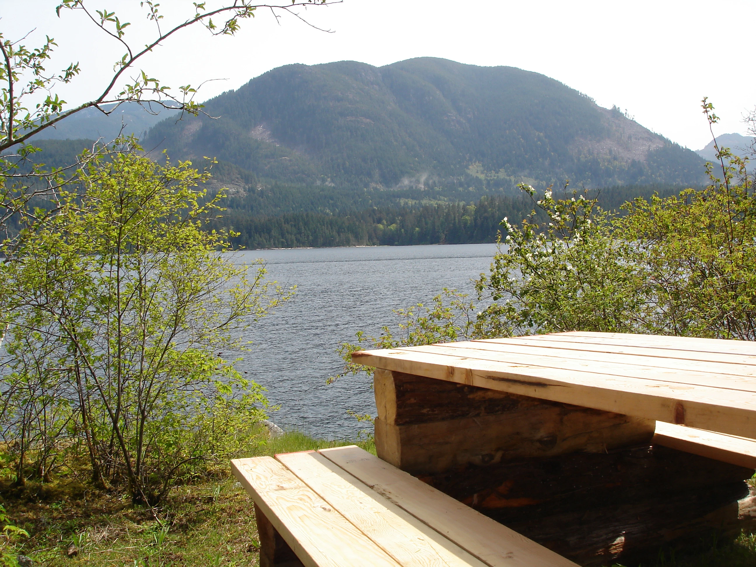 Photo: Recreation Sites and Trails BC. © Province of British Columbia, licensed under the Open Government Licence – British Columbia. Arden Creek