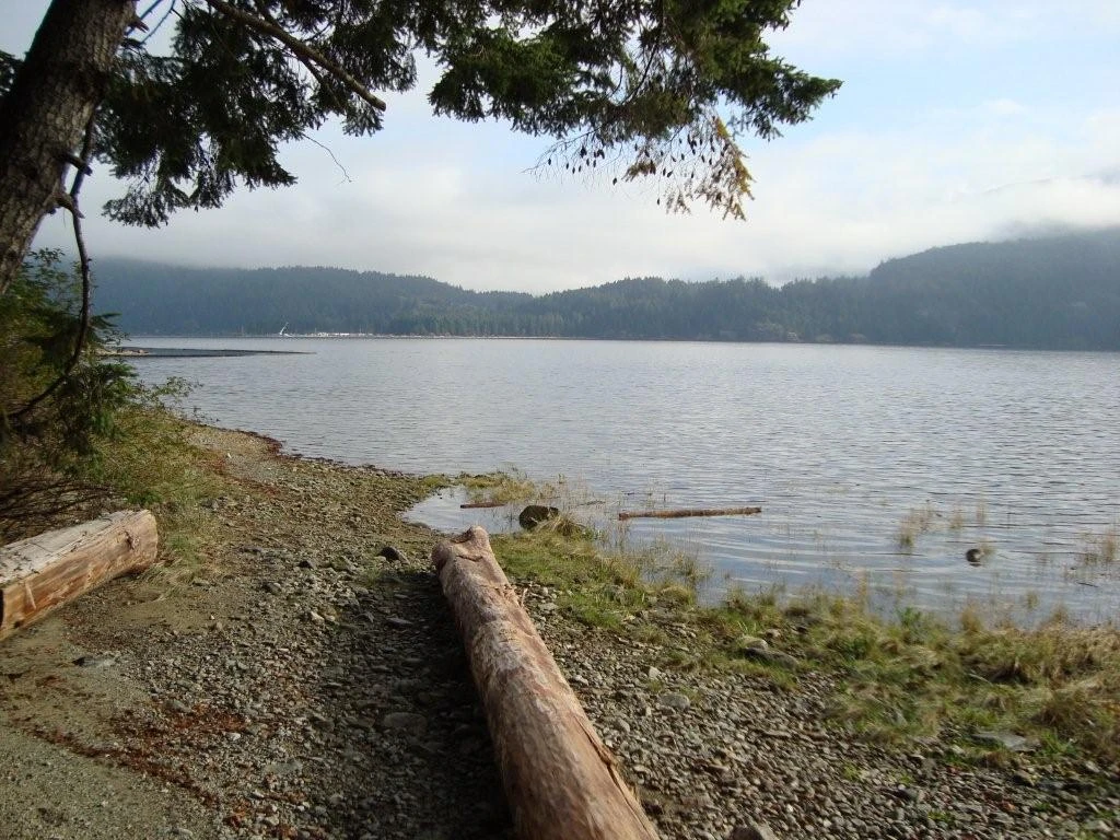 Photo: Recreation Sites and Trails BC. © Province of British Columbia, licensed under the Open Government Licence – British Columbia. Arden Creek, photo 3