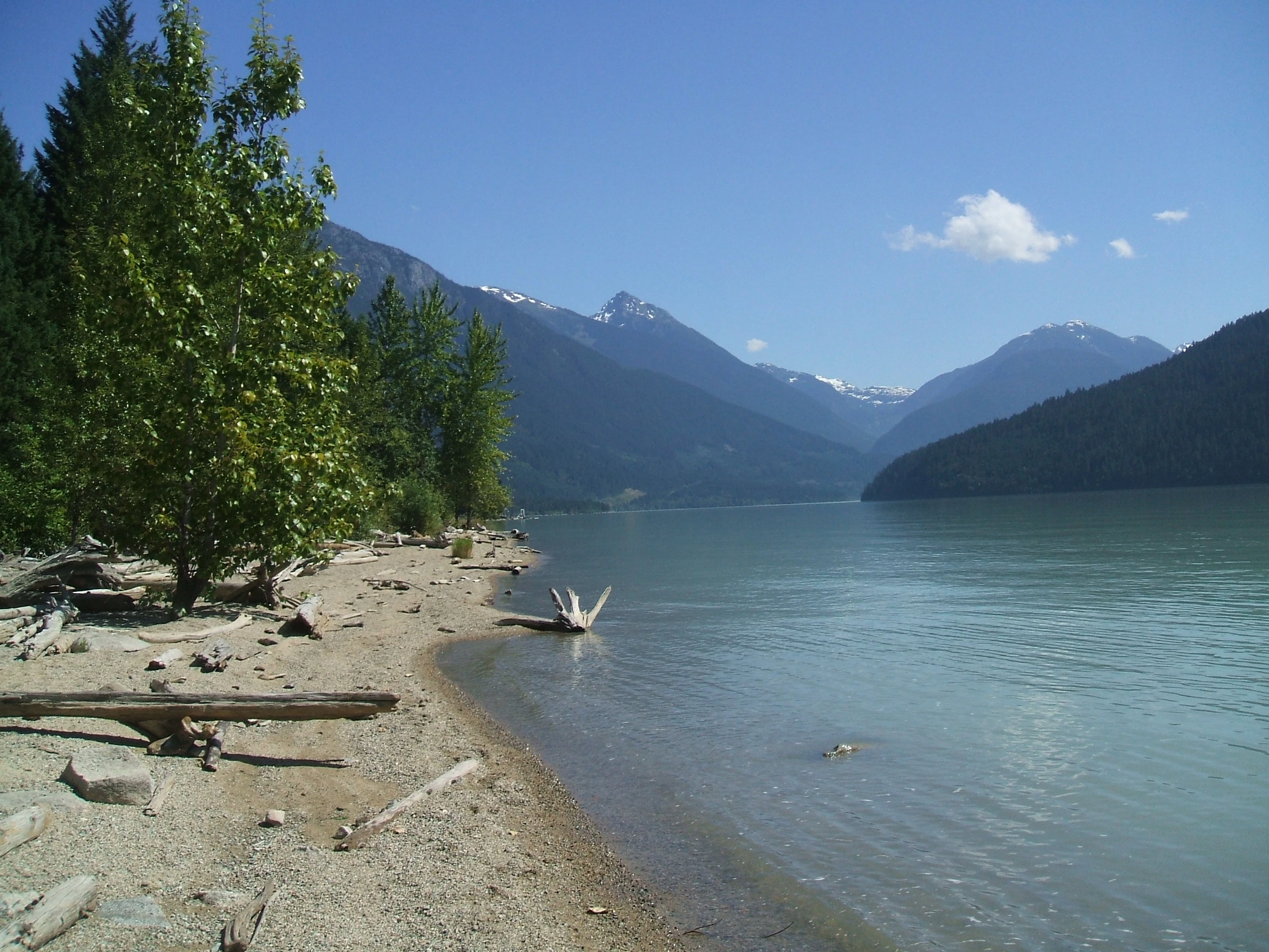 Photo: Recreation Sites and Trails BC. © Province of British Columbia, licensed under the Open Government Licence – British Columbia. Strawberry Point, photo 4